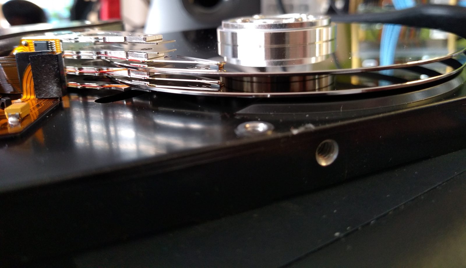 Close-up of an open hard drive disk platter during a data recovery procedure